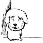 보플 더 보고싶긴 한데