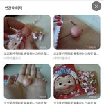 <b>밀크</b>볼 딸기 아시나요?