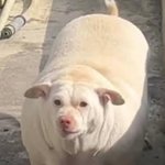 이따 <b>루시</b>보러 간닥!!!!