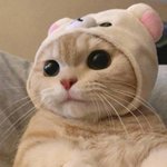 보고싶다 오늘도