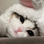 <b>언제</b>까지 보고싶고 생각날까