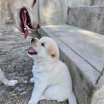 강나디야!!!! ㅜ