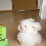 [댓글부탁해] 날 감정 쓰레기통으로 생각하는 친구 손절