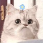 ㅎ