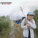 실화야? 박주현 "<b>재난</b>영화 급"…제주 비바람·폭우 속 10km...