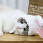 보고싶은 사람