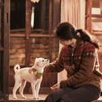 요즘 한국 좀 변한 것 같지 않냐