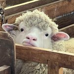 개강하고 혼자 <b>노을</b>보러 바다 갈거긔ㅎㅎ