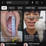 보플 립우? 한입좌 <b>닮음</b>