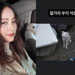  암 말기 석삼이 떠나 보냈다…눈물의 <b>작별</b> 인사 "잘 가라"