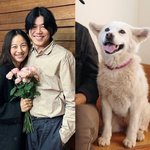 이효리, 직접 전한 눈물의 <b>작별</b>..암 말기 석삼이와 이별 "잘...