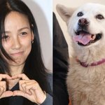 가라” 이효리, 11년 함께한 <b>반려</b>견 ‘석삼이’ 떠나보내…하늘의...