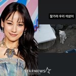 이효리 <b>반려</b>견 석삼이, 암 말기 투병 끝 강아지별로.."잘 가라"...