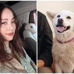 이효리, ‘암 말기’ 석삼이 떠나보냈다…“잘 가라” <b>작별</b> 인사