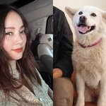  암 투병 반려견과 안타까운 <b>작별</b> "잘 가라, 우리 석삼이"