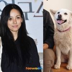 이효리, 암 <b>말기</b> 가족 떠나보냈다 “잘가라 우리 석삼이”