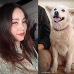 이효리, '암 말기' 반려견 떠나보냈다…"잘 가라 우리 석삼이"