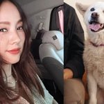 이효리, '암투병' <b>반려</b>견 떠나보냈다 "잘가, 우리 석삼이"...