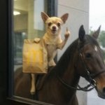 근데 영자 <b>추천수</b> 주작 왜 하는 거임