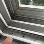 인터넷에 물어보래서 올립니다 (<b>입주청소</b>)