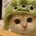 보고싶다
