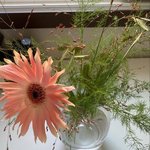 내 <b>남친</b> 조카 착하다 ㄹㅇ