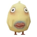 취해서 5만원짜리 회 <b>시킴</b>