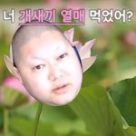 [댓글부탁해] 커플들아 공공장소에서 애정행각 좀 제발