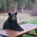 성폭행 트라우마 언제 사라짐