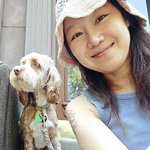  케빈오와 신혼 한풀이..<b>뉴욕</b> 축제 즐기고 정호연까지 조우[SCin스타]