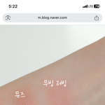 [댓글부탁해] <b>이런색</b> 블러셔 추천좀…