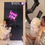 수지X송혜교, 또 집 데이트 했나? 이 우정 <b>찬성</b>이요 [RE:스타]