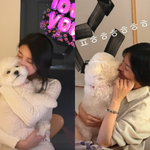 수지, 절친 송혜교와 집 데이트…미녀들 우정<b>ing</b>