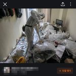 특수청소 알바썰, 집에서 나오는 벌레 싹없애는법(+벌레약, <b>퇴치</b>법)