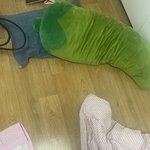 혹시 글쓰니 방에서 <b>시큼</b>냄새안나?