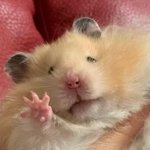 남돌 대중픽 떡상하면 제일 <b>단점</b>이