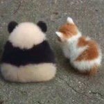[하고싶은말] <b>뚱띠</b>야