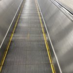 <b>고고</b> <b>고고</b>고고 <b>고고</b>