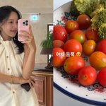 '여성암' 극복 후 철저한 건강식 "<b>야채</b> 듬뿍" [해시태그]