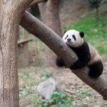 <b>뚱띠</b>