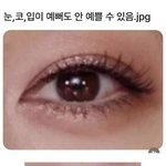 [댓글부탁해] 눈, 코, <b>입이</b> 이뻐도 안이쁠 수 있음