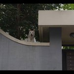 <b>미감</b> 타고 난 듯한 던의 인테리어 센스