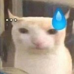 <b>트친들</b>이 다 나 성인으로 아는 듯