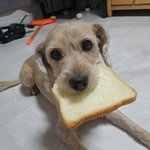 뚝딱<b>이가</b>되