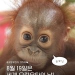 요즘 <b>최대</b> 관심사 너넨 뭐임??