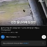 [댓글부탁해] 다들 보셨겠지만.. 인천 <b>고무장갑</b> 수퍼맨의 이야기