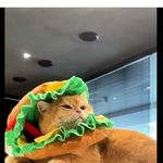 [레이] 베리레드톡)