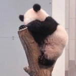 <b>뚱띠</b>
