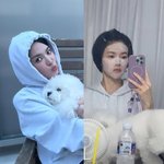 메이크업 뒤 숨겨진 순둥이 일상…<b>민낯</b>은 또 다른 매력 "ㅈㄱㅌ"...