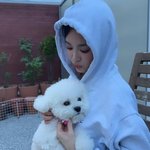 [SCin스타] “인형이 따로 없네” 송혜교, <b>후드</b>티 뒤집어써도 빛나는...